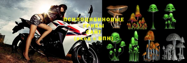 соль ск Осинники