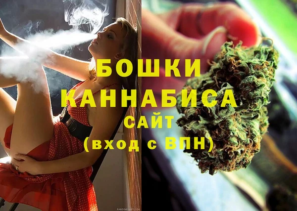 соль ск Осинники