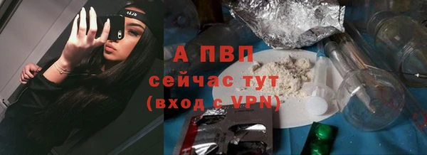соль ск Осинники