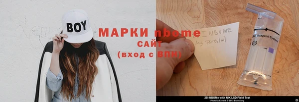 молекула духа Осташков