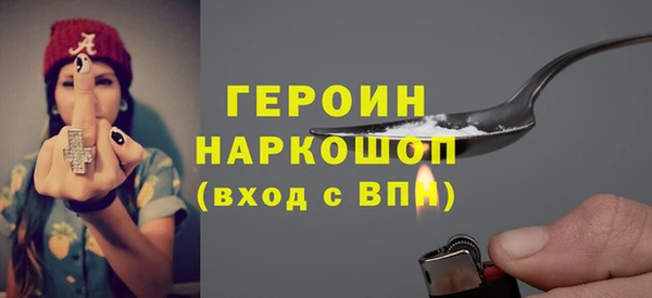 дживик Няндома
