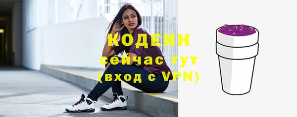 молекула духа Осташков