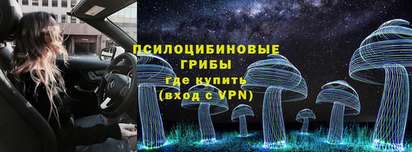 соль ск Осинники