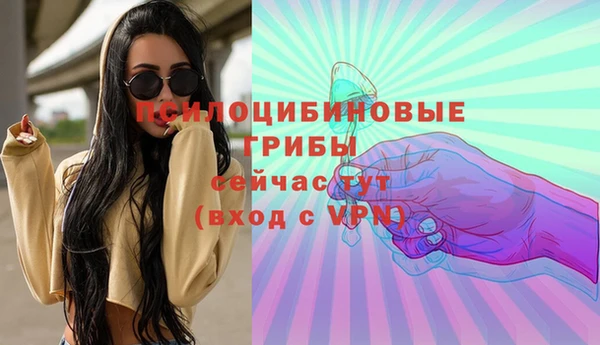 соль ск Осинники