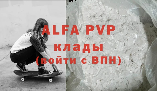 молекула духа Осташков
