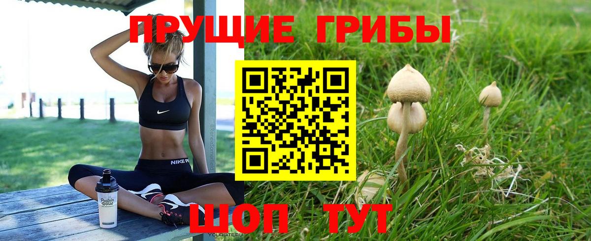 Галлюциногенные грибы MAGIC MUSHROOMS Борисоглебск