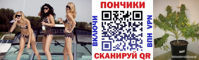 где можно купить   Борисоглебск  Бошки Шишки Ganja 